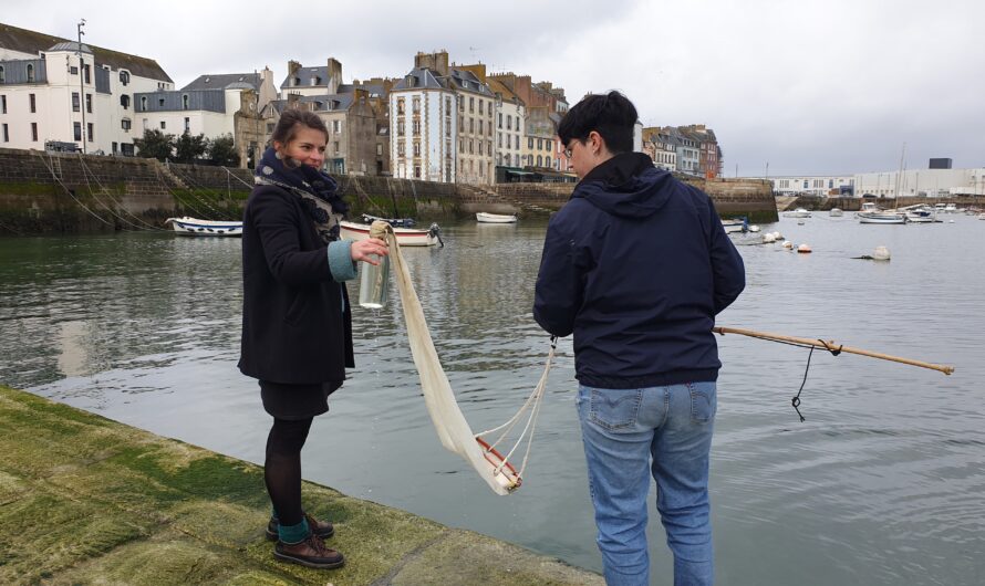 L’association Ystopia montre la richesse du plancton, à Douarnenez