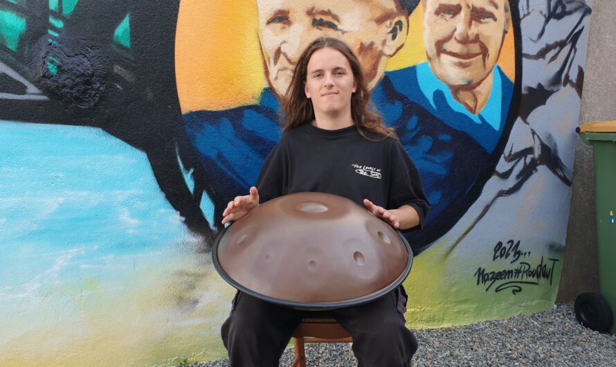 Handpan et beatbox avec Noah Roudaut à Plouguerneau © Christophe Pluchon