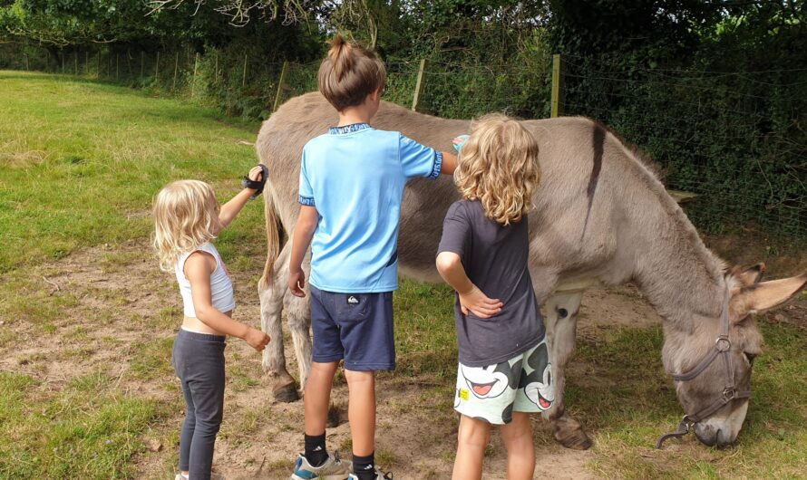 Reportage au micro, à la Ferme Enchantée de Goalès à Lannion