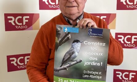 Comptez les oiseaux des jardins avec Patrick Philippon de Bretagne Vivante © Grégoire Joanne